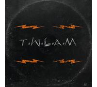 The Chuck Norris Experiment This Will Leave a Mark (CD) Album Digipak