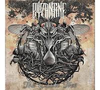 The Cicada Tree
