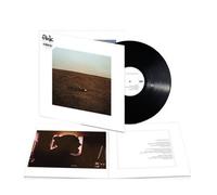 The City Coming To Erase It All Vinyle