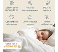 The Cloud Couette 220 x 240 cm microfibre couette toutes saisons