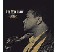 The Cologne Concerts - Twelve and More Blues