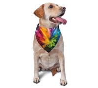 The Colorful Pigments Exploded Graphic Printed Pet Triangle Scarf For Dogs & Cats Adjustable Cute Pet Bandana For & Photo Shoots