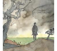 The Colour In Anything [2 LP] by James Blake [VINYL] NEUF