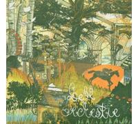 Bell Orchestre – Recording a Tape The Colour of the Light – CD – Import