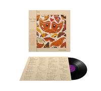 The Colour Of Spring - Vinyle