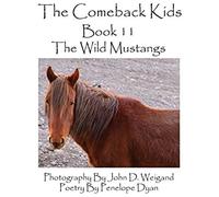 The Comeback Kids--Book 11--The Wild Mustangs