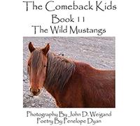 The Comeback Kids--Book 11--The Wild Mustangs