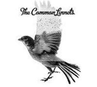 The Common Linnets