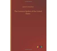 The Common Spiders Of The United States