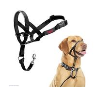 THE COMPANY OF ANIMA Halti Collier pour Chien Noir 3