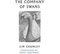 The Company of Swans - [Version Originale] Inconnu (Auteur)