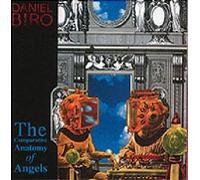 The Comparative Anatomy of Angels