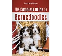 The Complete Guide to Bernedoodles: Everything you need to know to successfully raise your Bernedoodle puppy!