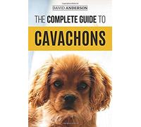 The Complete Guide To Cavachons