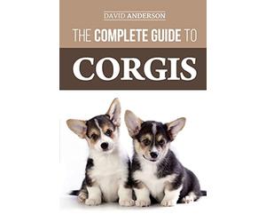 The Complete Guide to Corgis: Everything to know about both the Pembroke Welsh and Cardigan Welsh Corgi dog breeds