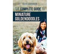 The Complete Guide To Miniature Goldendoodles