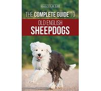 The Complete Guide To Old English Sheepdogs
