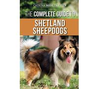 The Complete Guide To Shetland Sheepdogs