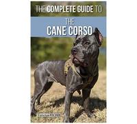 The Complete Guide To The Cane Corso