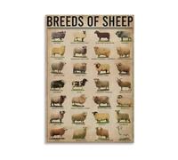 The Complete Sheep Breeds Poster - Knowledge Wall Art for Animal Lovers, Teachers, FFA and Agricultural Students(Unframed,08X12inch(20X30cm))