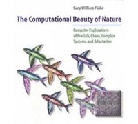 The Computational Beauty of Nature by Gary William Flake Gary Flake (Auteur)