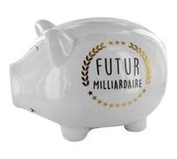 - Tirelire cochon XXL Futur milliardaire