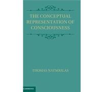 The Conceptual Representation Of Consciousness