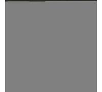 Simon & Garfunkel – The Concert in Central Park (Live) – Vinyle 12" – Sony