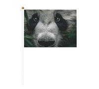 The Confusion of Giant Pandas Mini drapeaux durables 14 x 21 cm sur bâtons pour extérieur, cour et jardin Lot de 6 et 10