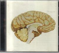 The Contino Sessions