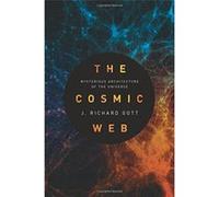 The Cosmic Web: Mysterious Architecture of the Universe - [Version Originale] Inconnu (Auteur)