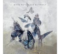 The Cost of Dreaming by White Moth Black Butterfly [CD] NEUF