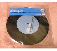 The Courteeners - What Took You So Long [Import]