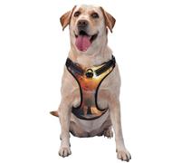 The courtyard at dusk Harnais réglable et respirant avec boucles à dégagement rapide pour chiens de petite, moyenne et grande taille