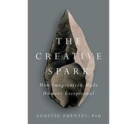 The Creative Spark: How Imagination Made Humans Exceptional - [Livre en VO] Agustin Fuentes (Auteur)