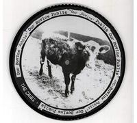 The Cribs - Don't You Wanna Be. [Import]