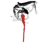 The Cube - Decoy Street [Vinyl Lp]