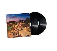The Curious Case Of Existence Vinyle