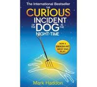 The Curious Incident of the Dog in the Night-time Mark Haddon Mark Haddon (Auteur)