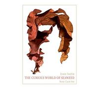 The Curious World Of Seaweed Note Card Box