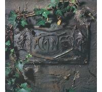 The Black Album Vinyle