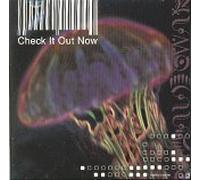 The Dandy Warhols - Check It Out Now (UK Import)