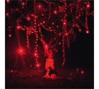 The danger of light - Digipack - Edition limitée E