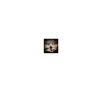 Disbeliever – Dark Days – CD – Import