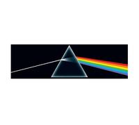 The Dark Side Of The Moon (50th Anniversary Remaster) - Vinyle