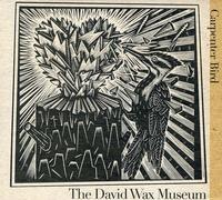 The David Wax Museum - Carpenter Bird