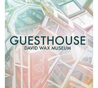 The David Wax Museum - Guesthouse [VINYL] [Vinyl LP]