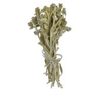 Thé de Montagne Eubée Entier Grec Thé aux Herbes - Sideritis Εuboea (200g)