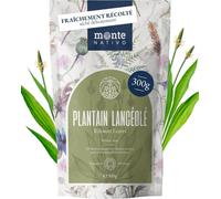 Thé De Plantain (300g)-Infusion Vrac-100% Pur Et Naturel,Sans Additifs-Herbes À L'arôme Intense Pour La Préparation D'une Délicieuse Tasse De Tisane