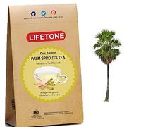 Thé de pousse de palmier | Thé aux herbes | 20 sachets | Source de protéines | Kick Start Le Corps | 20 sachets de thé